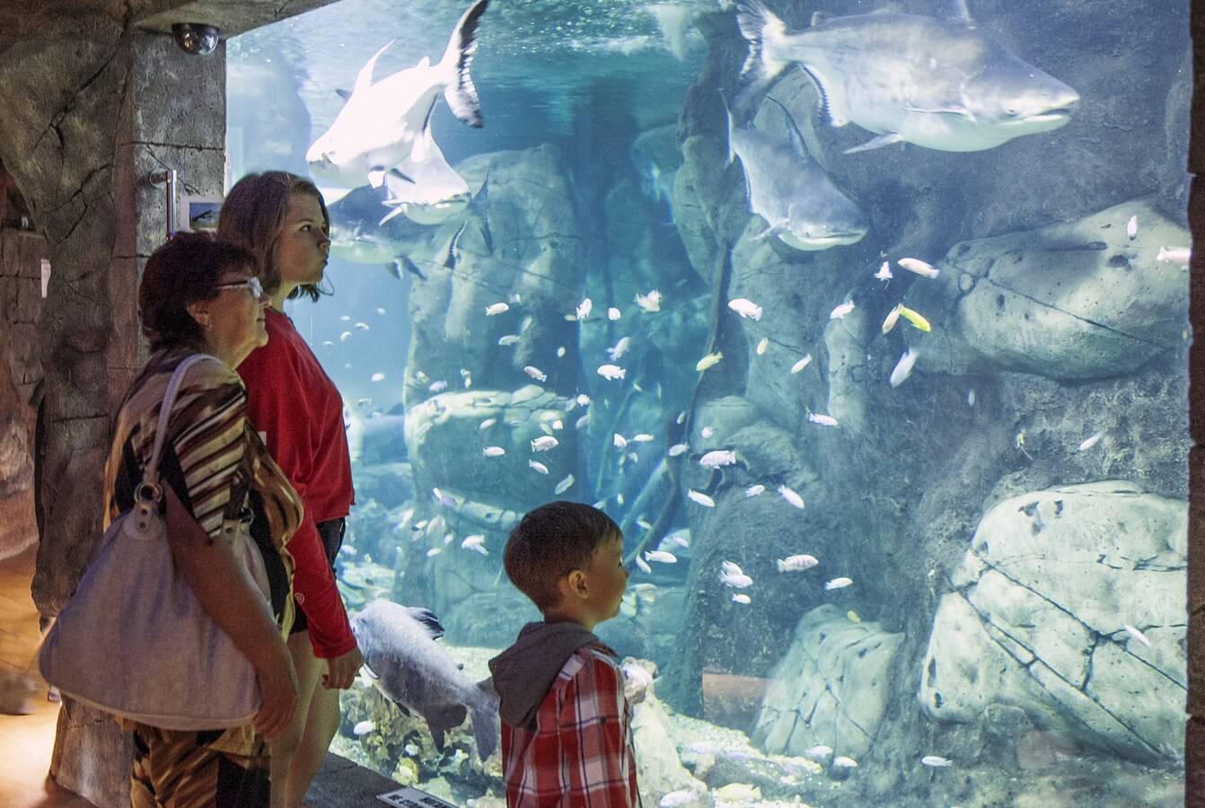 Океанариумы