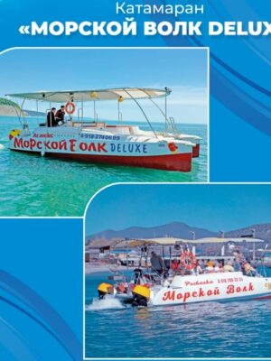 Морская экскурсия 2 часа. "В поисках дельфинов"