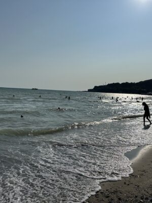 Морская экскурсия 2 часа. "В поисках дельфинов"