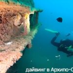 Дайвинг Владимир Архип Осип