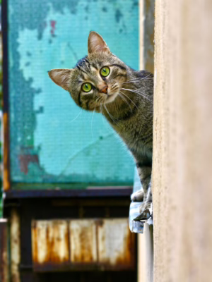 Поиск в труднодоступных местах